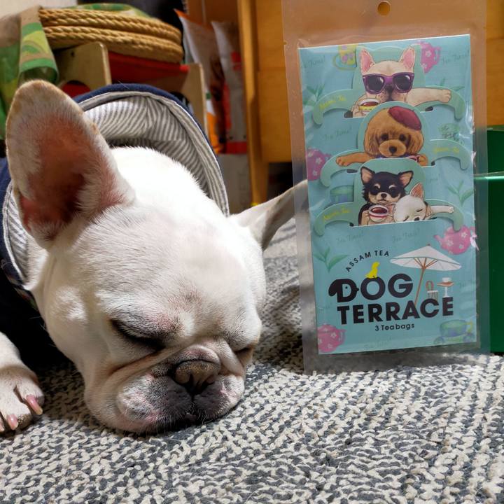 90698929 61d1 4967 9909 f2f379dd836b 1643495706101