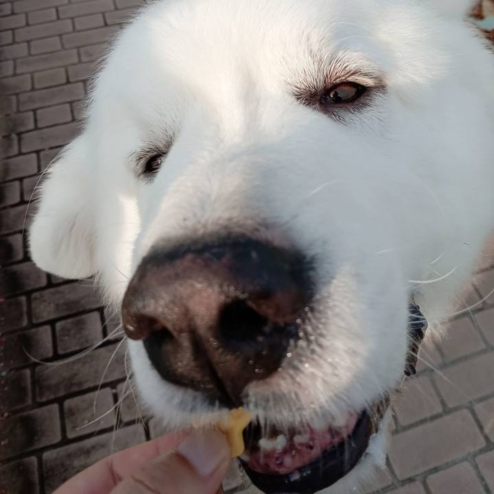 90699454 59bc 4623 8595 bc33fe3e7519 1720302537200