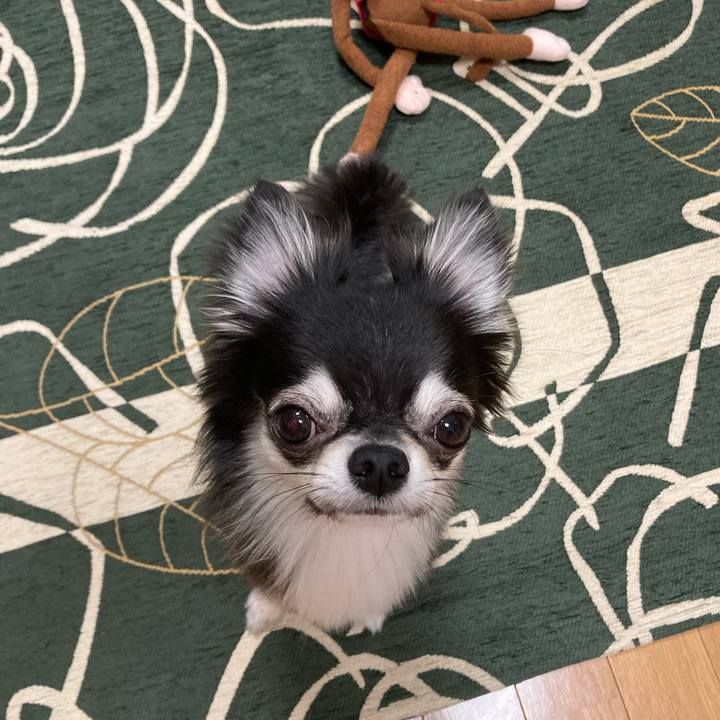 9069adb4 7880 4f5d 93ef e139e0a216df 1632145768572