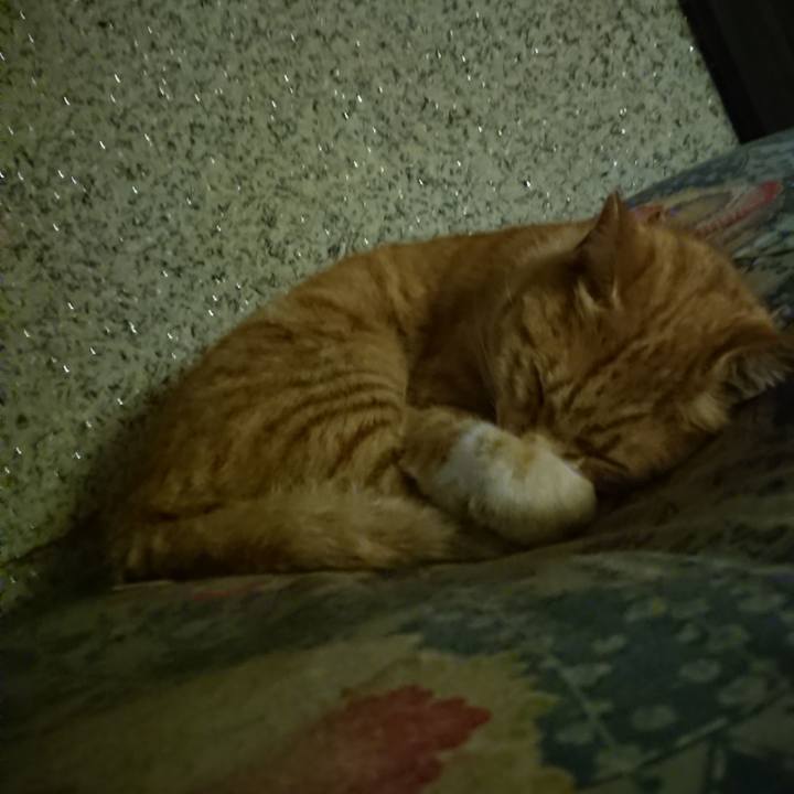 906a2d26 2aac 4f3e a8fc 3bf24806a191 1602848699640