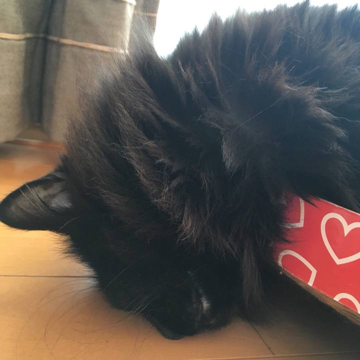 906a69cf 9df1 4837 9a9c cf084af64414 1551704023048