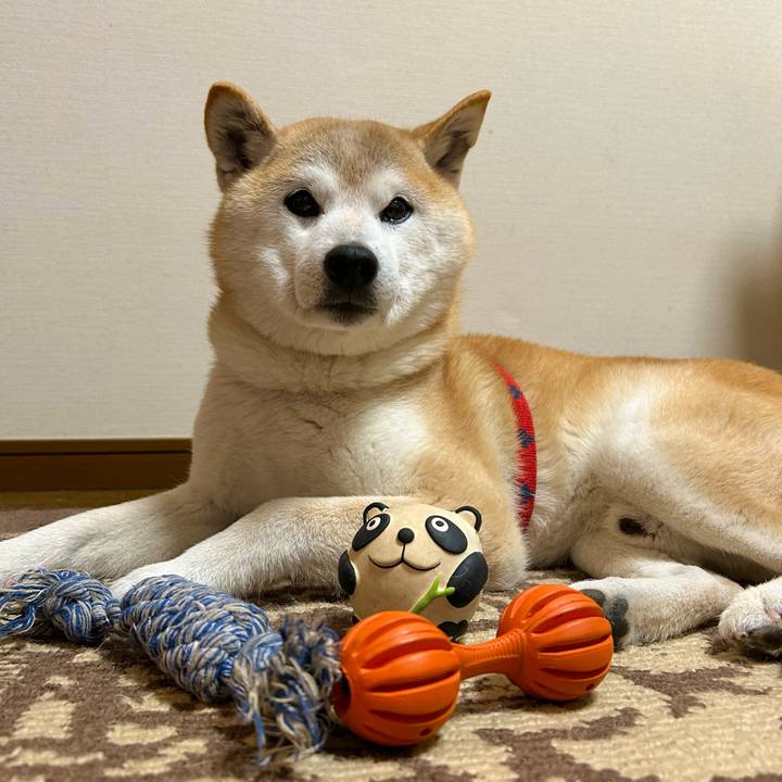 906abf16 8c45 4cdc 9a4a 753584c050c2 1748951428754