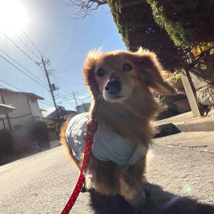 906ac96b 51ef 4d6f ba59 28fec7493717 1676981912004