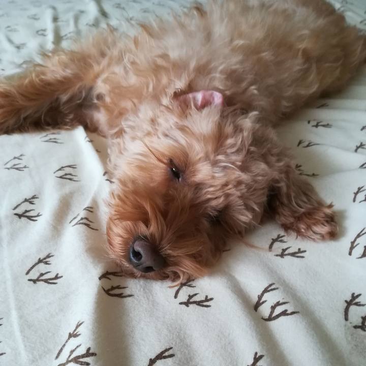 906acfdd 0a04 4f31 a6d6 ac655bf91701 1545444777066