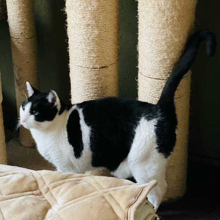 906ae3b2 7116 4b1d ac95 3d3a164000da 1642993968795