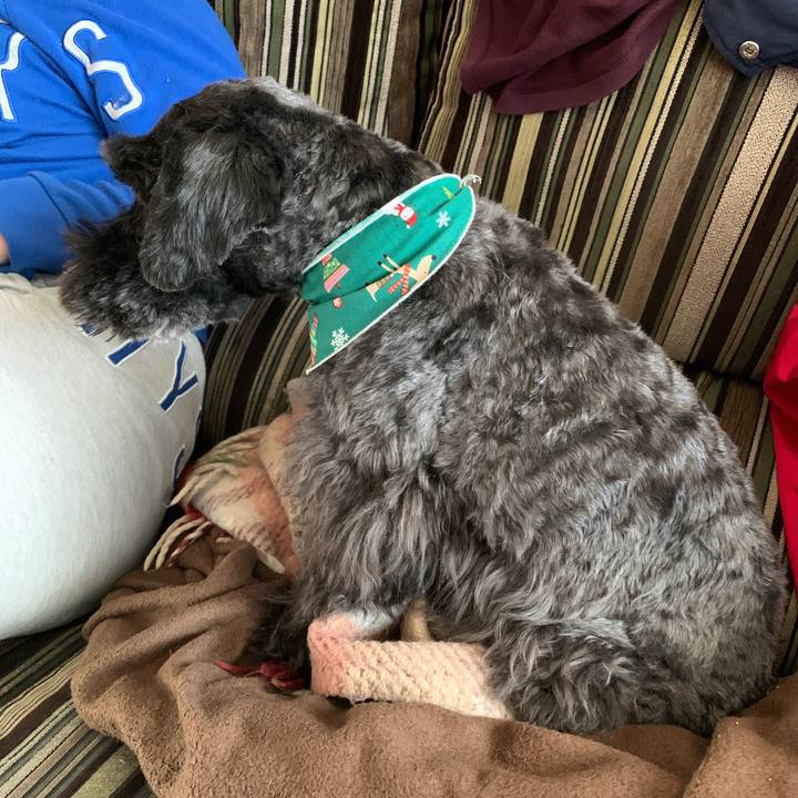 906afea2 8591 49a4 830d 7f9b4e7cb308 1639874204573