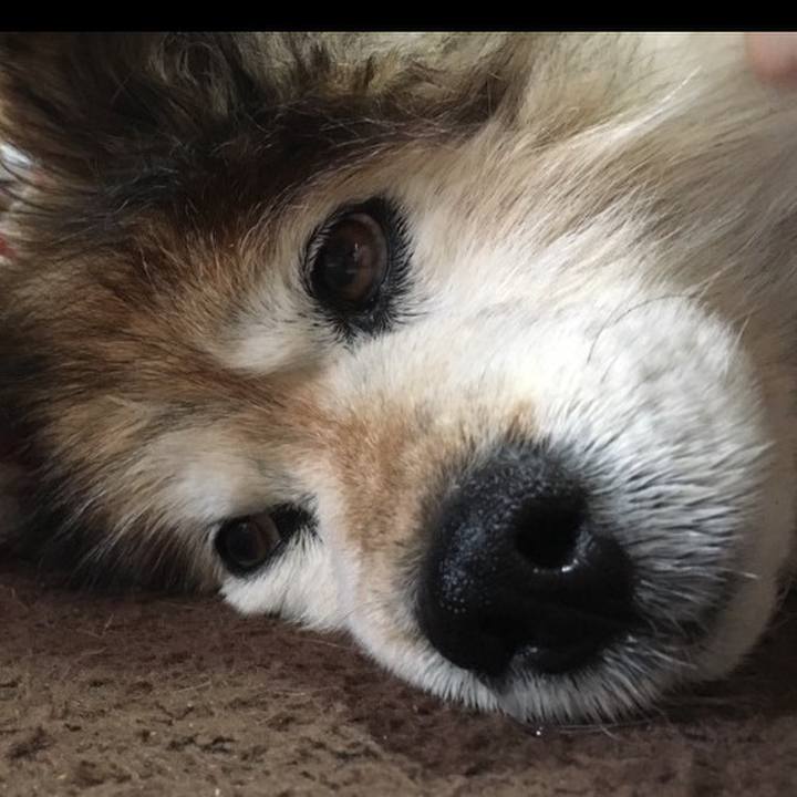 906b0a85 08f1 4d7b ba81 ec21adf26dd3 1573001256564