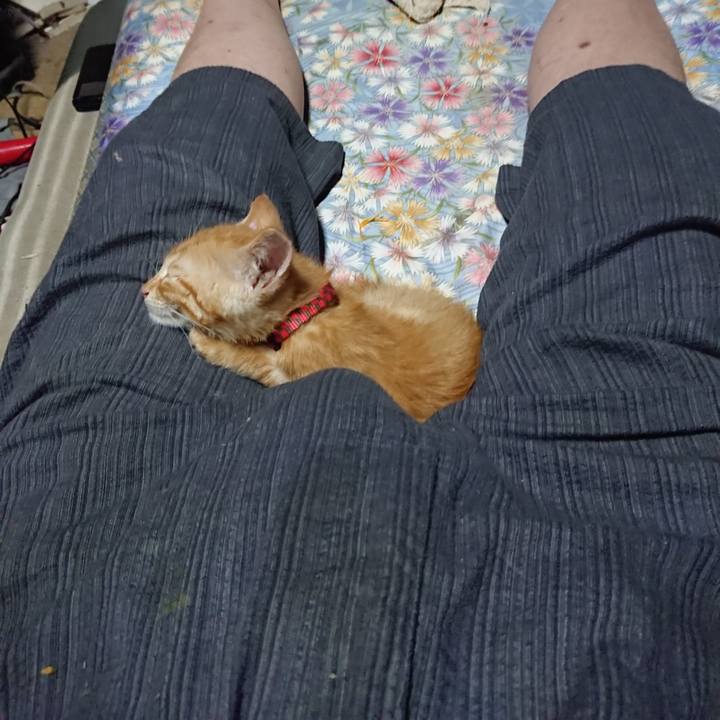 906b5d9e 660b 4b5d afc4 88574962fd6b 1628081057612