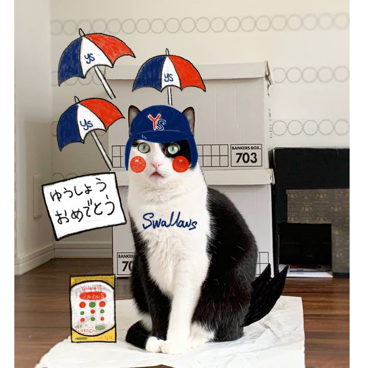 906b5f50 5587 4c92 adbd bff83f2bd3b8 1635251429468