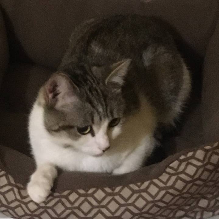 906b6040 79ac 4bce ba13 8231558c31ef 1632961180916