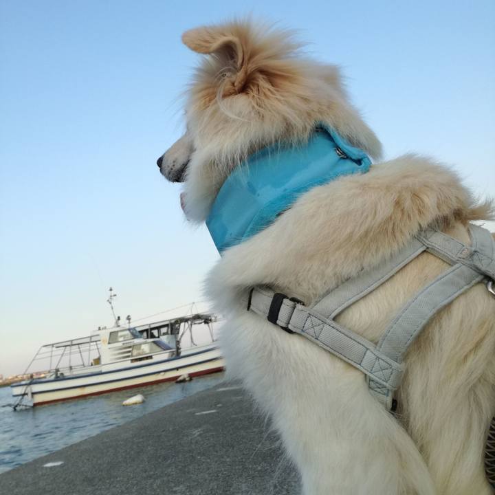 906b6384 53b3 4ebf 980b 762bcd348b30 1532493135249