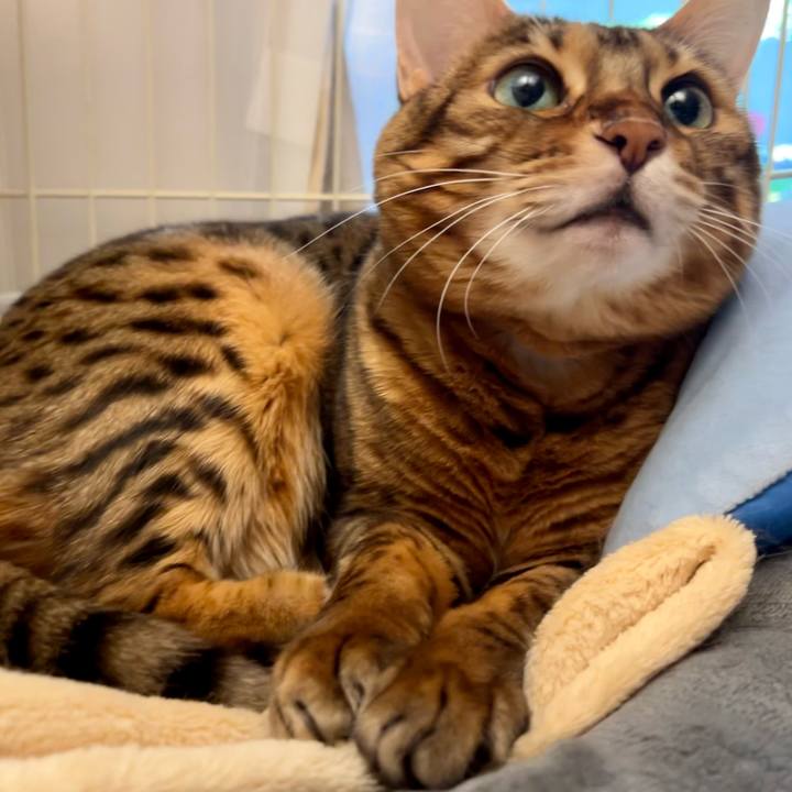 906b7d4b 1e5a 423c aefa 5c69bda131a4 1672842694074