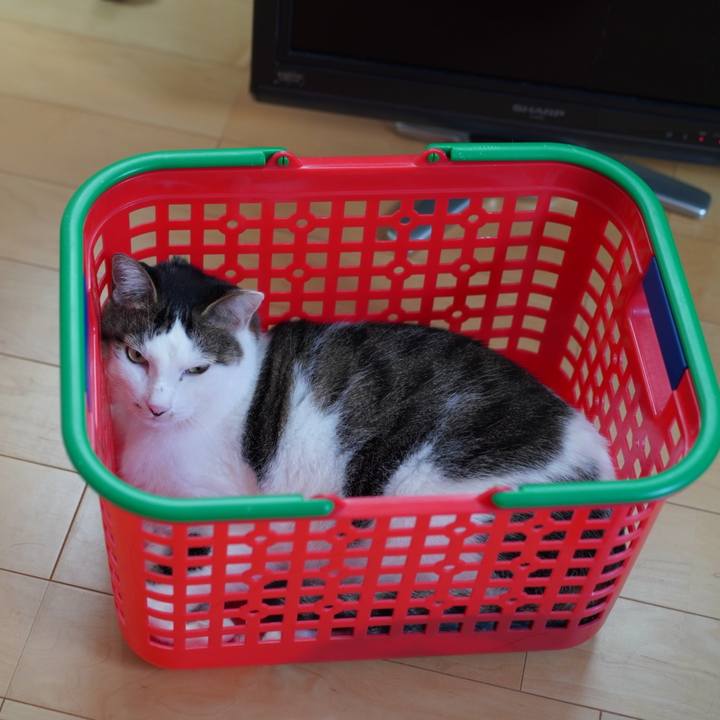 906b86ac 33d9 4606 900b c89663432291 1633906943128