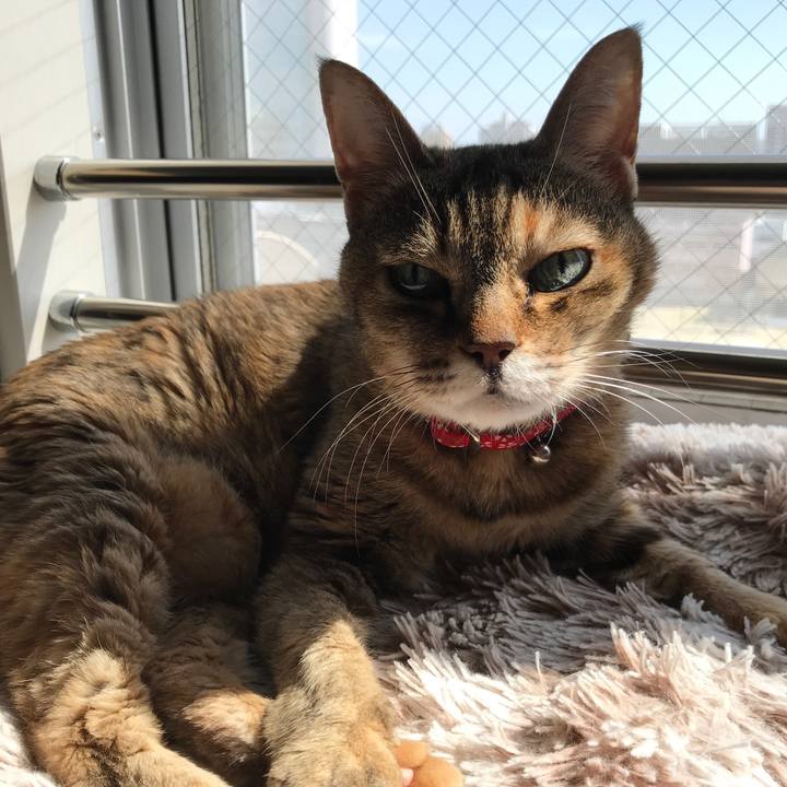 906b9f9b 153e 4618 827a 7e3c65df512e 1526131923269