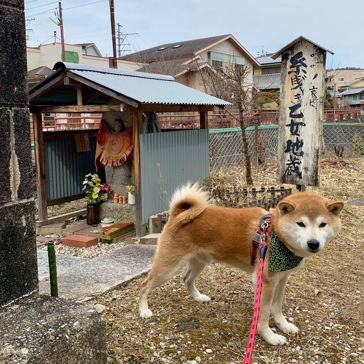 906bc38b 9369 454d a0ee 7b8c697c33a7 1646821410394