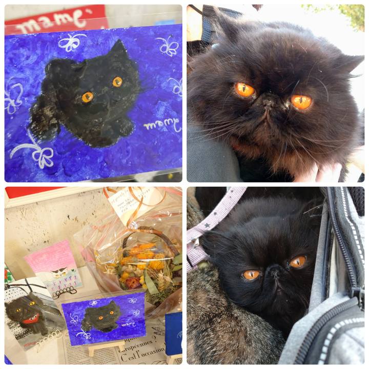 906bca37 18ae 40d7 aa73 f51e720ac06a 1635674148325