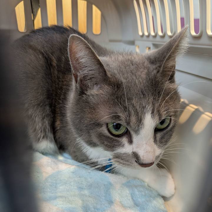 906bcf98 cc3e 48ee a86c baedadbc9172 1757388212652