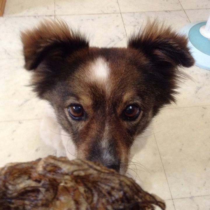 906c154f 0783 4210 89e4 863357a0714c 1533983605076