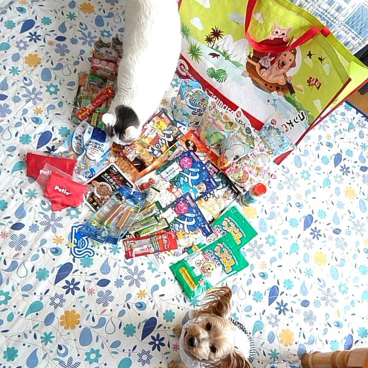 906c1f42 f2f1 41fb 909e 01393d0a5bc8 1557043937368