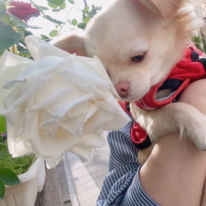 906c38af 3d70 44a2 99aa 3434a846cecb 1619597746088