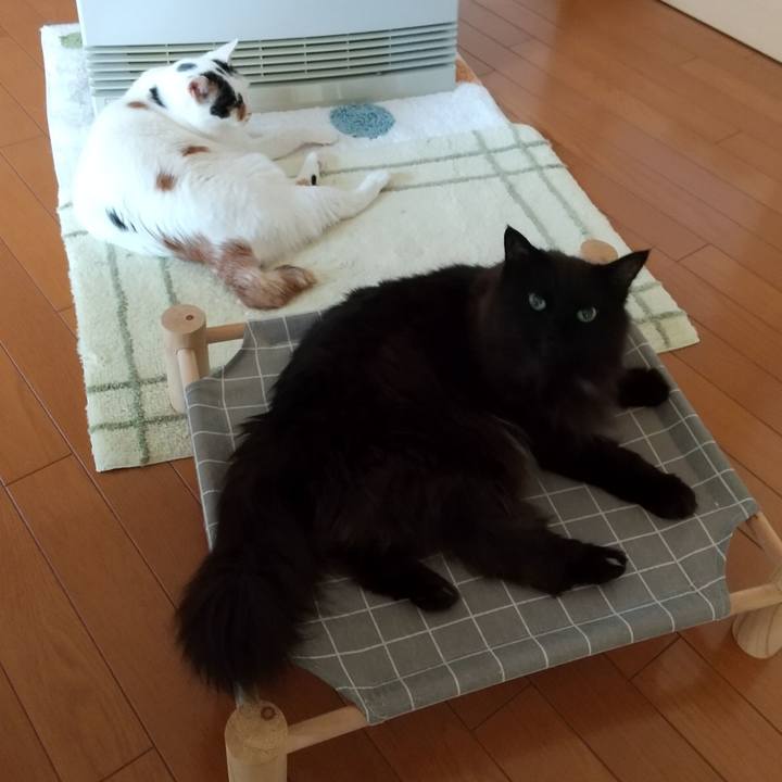 906c3ba9 d441 447e a945 c20bbad0db2d 1683586942379