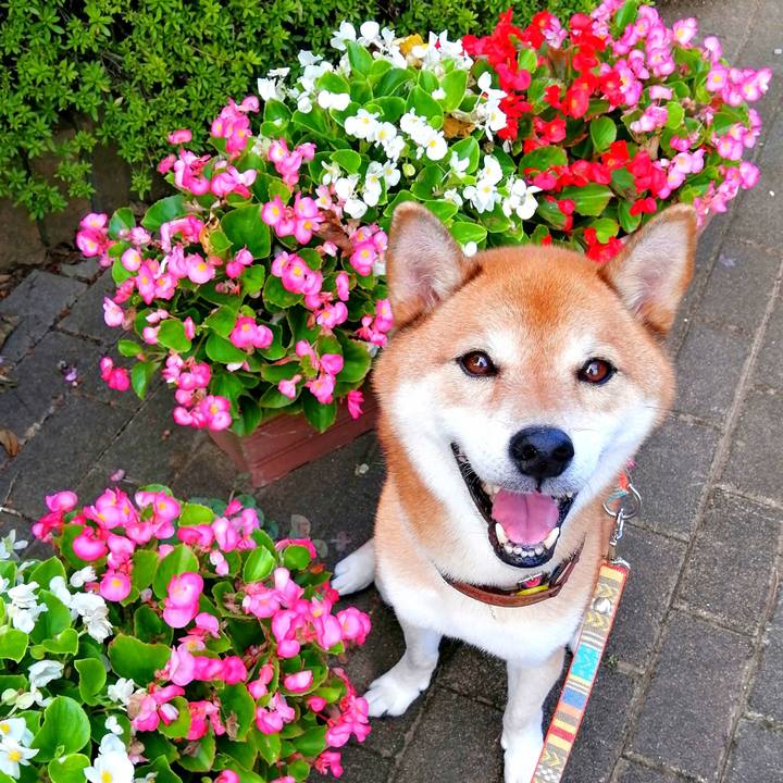 906c3ee6 1ac1 4e7f 8caa 442c3c3a91f9 1662883444570