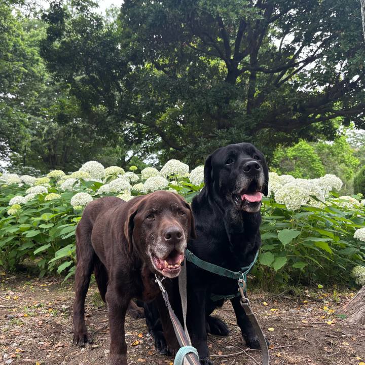 906c6f64 eef8 43cf bbc3 5449da91615b 1781096240386