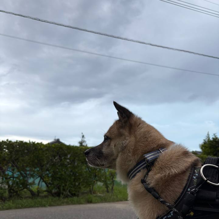 906c79bc 9b6e 42b9 9fc5 7b43c111bd84 1758113204539