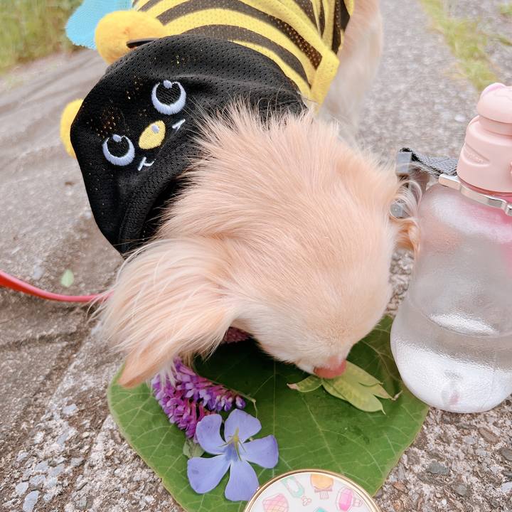 906c84da 7e7d 47c3 b8ad 48ba6f377ab9 1652961357197