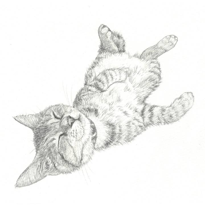 906cb6f8 9150 482f 9cc3 25f6be658fe0 1556546291122