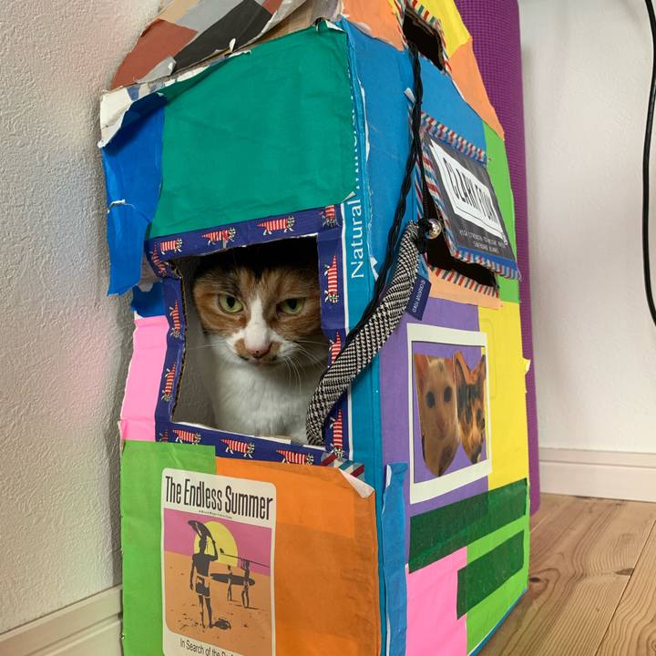 906cba72 de2f 492f 8dbc 5947cc4b56ae 1586653392153