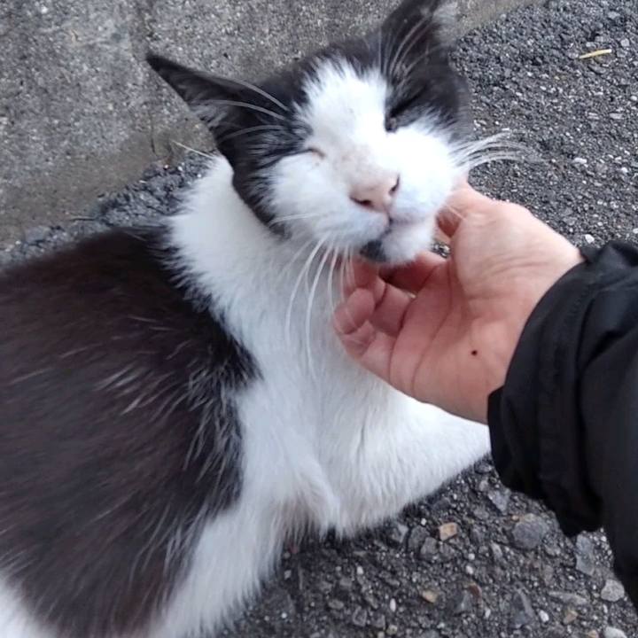 906cc763 29f1 4990 b522 799bb82cef48 1628065545974