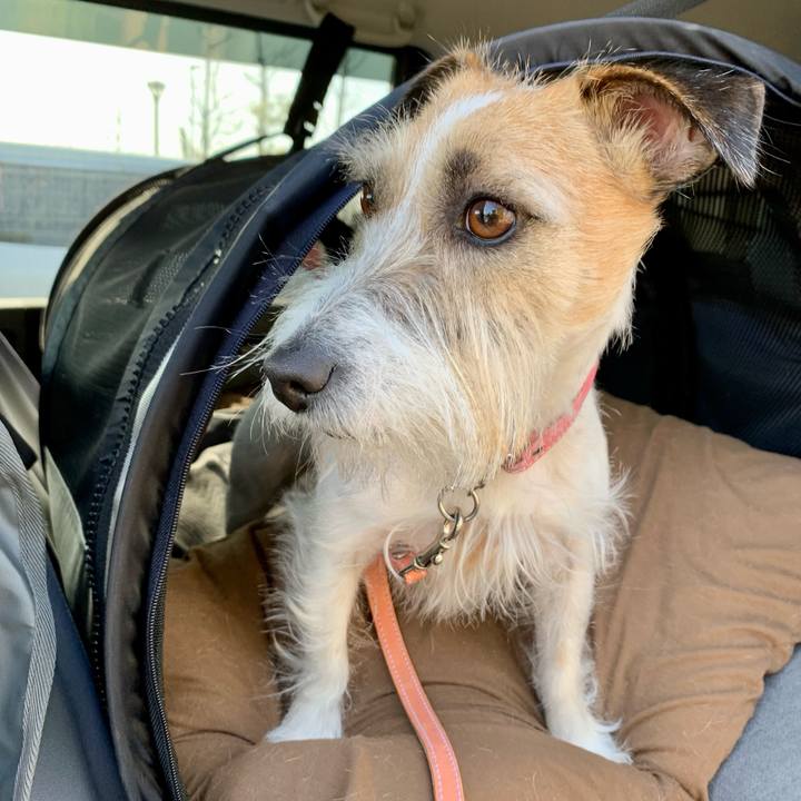 906ccf56 a8ad 47c8 b477 1bebedd02170 1676181554150