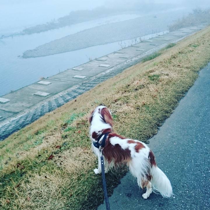 906cd4ec 5260 460c ae5b 5f5c204a61a9 1511822508678