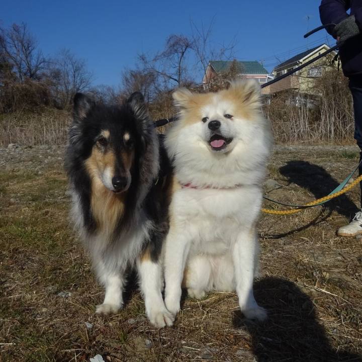 906cdbbd ff75 4254 b287 7c966d2b1257 1612612047913