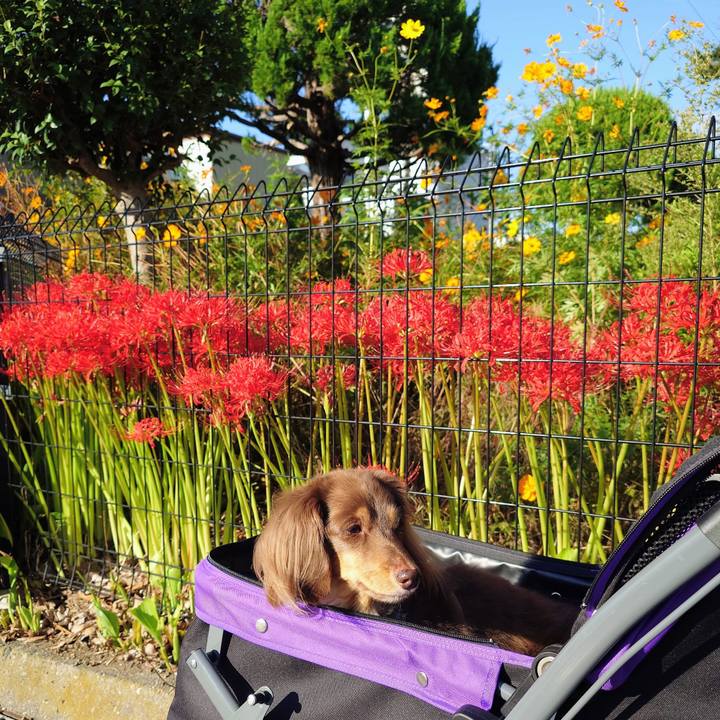 906cf339 09c3 4cbc ab85 45bcd67cba1e 1758785584739