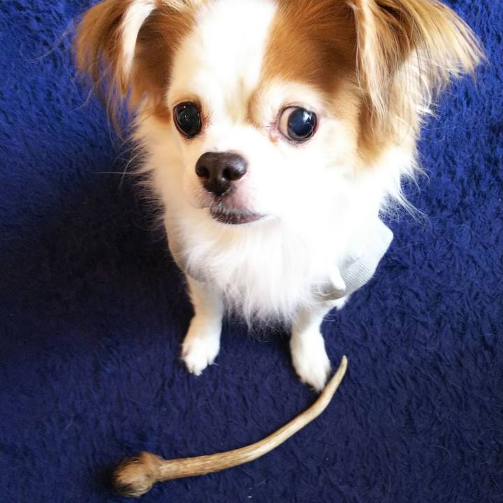 906cf940 904b 4cf7 9009 258813538d2d 1523368080166