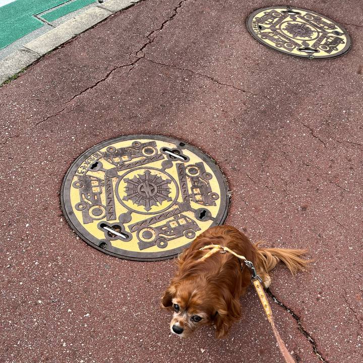 906d11dc e712 46fa a457 b4e0fc12b443 1707535953958