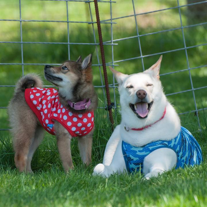 906d376e 3d2d 4a36 a3e3 77d66d89d47c 1525047390012