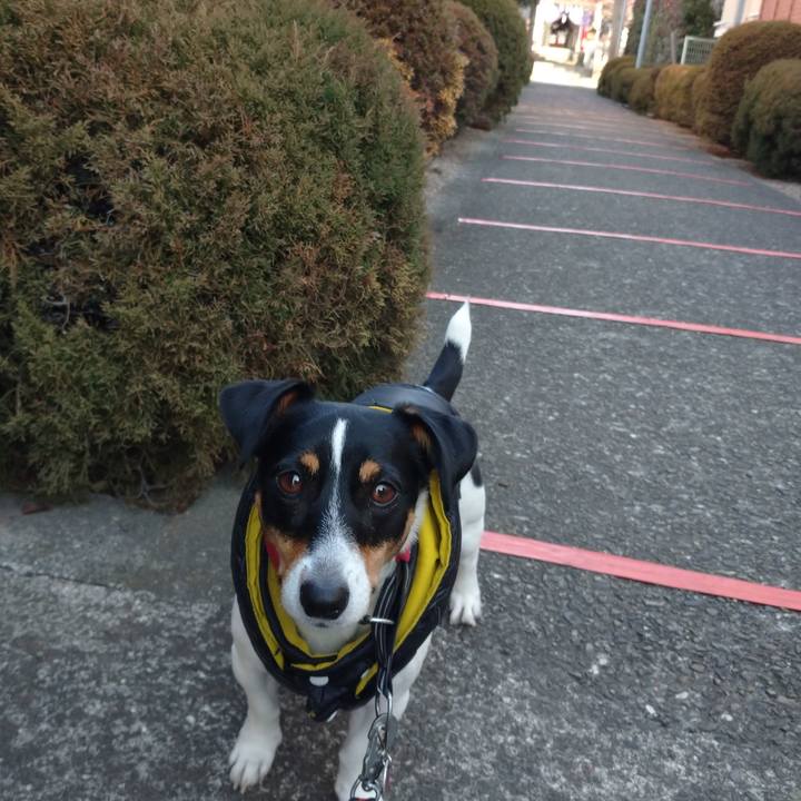 906d4c17 6a2e 4d72 ad87 3649083013dc 1612404663112