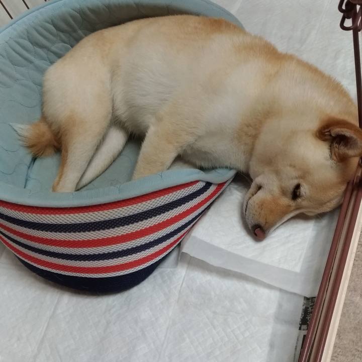 906d5584 401b 4551 a113 216c01f492d7 1528375988400