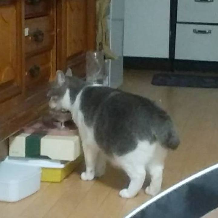 906d729c 1730 45aa 9780 b82651145cb9 1552826763052