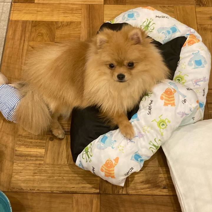 906db5e2 0307 4942 aa5b 53560b03762f 1649720038898