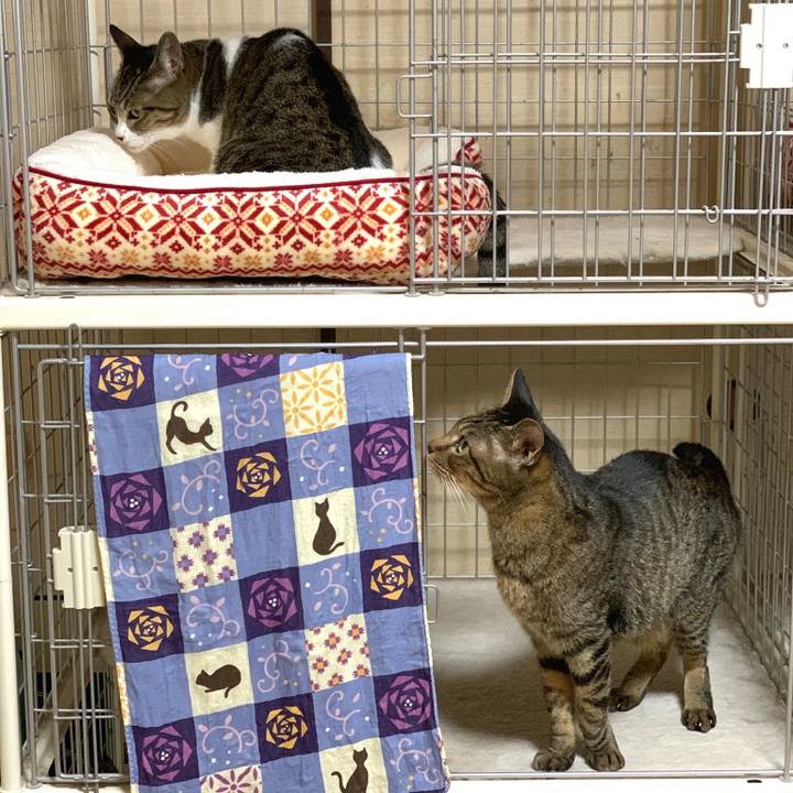 906df4ab 71fa 44b6 8970 2f187b7956d1 1573693613488