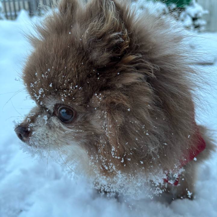 906e0330 d63b 464f 8c6a 8f6fbf1aa8aa 1767132902818