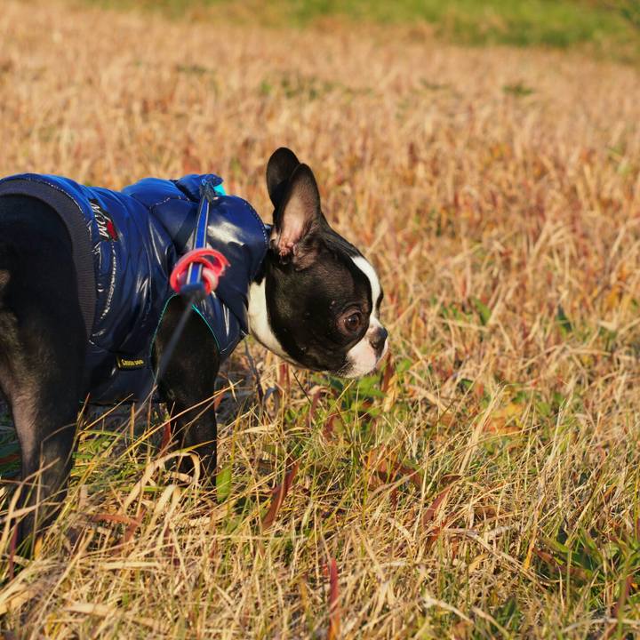 906e1c04 cbcc 4eac 923b 8d3ff535dba4 1512895966740