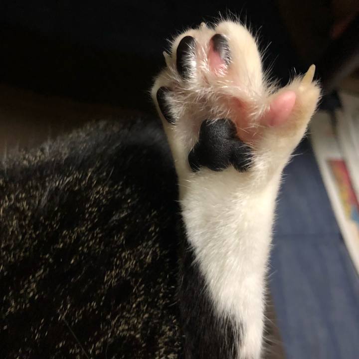 906e2750 5424 4db4 a0ea ea0d0246fb34 1561967644909