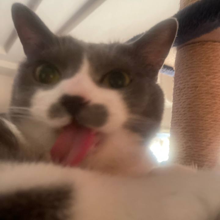 906e3d3b 1d9a 4831 b2f0 3d67fc7e19a2 1733178682955