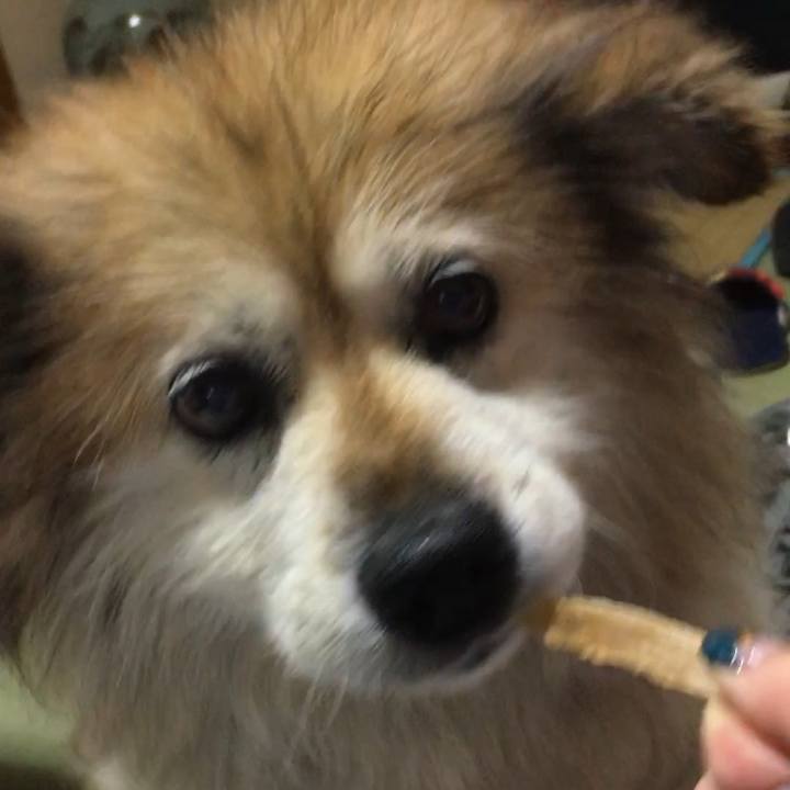 906e5364 e2a3 469d 928a ebbdf305b80d 1560685175855