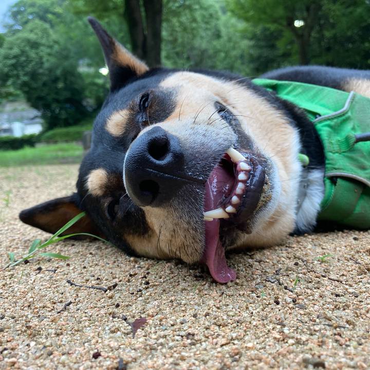 906e5ec4 eab5 4e3b 9c0c fd3a4d2bb035 1593911313783